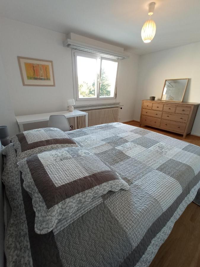 Rare A Colmar - Appartement Champ De Mars Vue Sur Parc - 70M2 - 2 Chambres Exterior foto