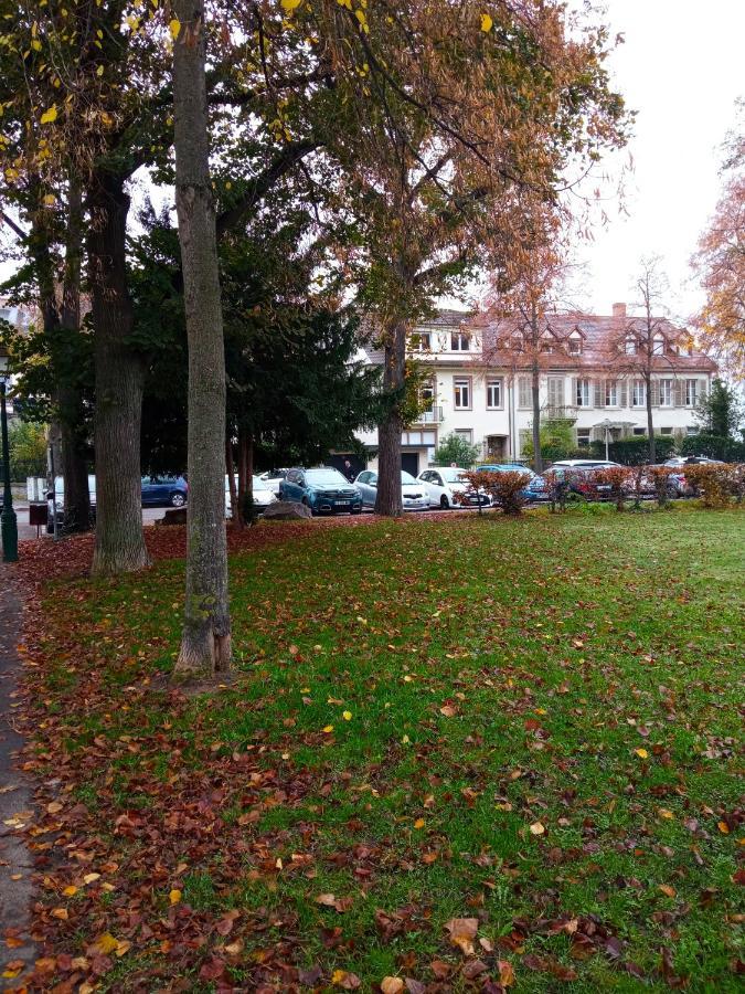 Rare A Colmar - Appartement Champ De Mars Vue Sur Parc - 70M2 - 2 Chambres Exterior foto