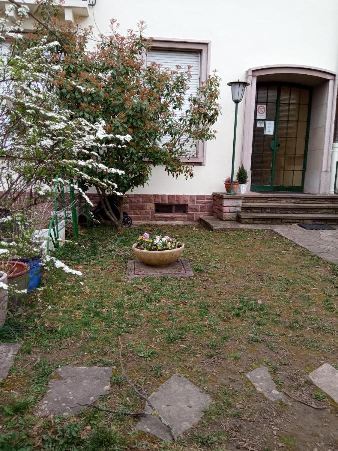 Rare A Colmar - Appartement Champ De Mars Vue Sur Parc - 70M2 - 2 Chambres Exterior foto