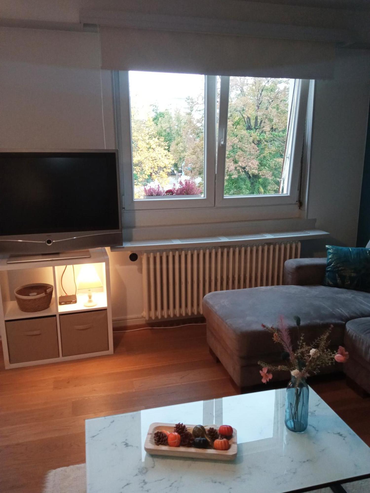 Rare A Colmar - Appartement Champ De Mars Vue Sur Parc - 70M2 - 2 Chambres Exterior foto